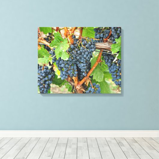 Paarse druiven canvas afdruk (Insitu (Houten vloer))