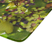 Paarse druiven die op de wijnstok met wijnglas gro snijplank (Hoek)