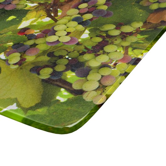 Paarse druiven die op de wijnstok met wijnglas gro snijplank (Hoek)