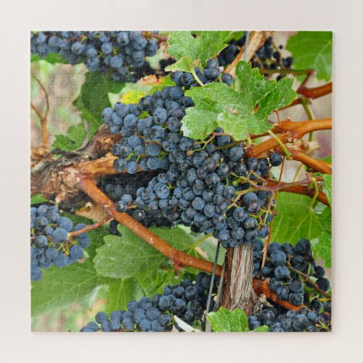 Paarse druiven legpuzzel (Horizontaal)