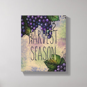 Paarse druiven   Oogste Season Canvas Afdruk