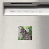 Paarse druiven op de wijnmagneten magneet (Insitu (Vaatwasser))