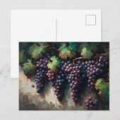 Paarse druiven op de wijnstok olieverfschilderij briefkaart (Voorkant / Achterkant)