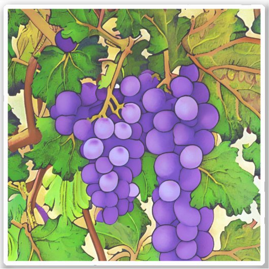 Paarse druiven op een wijnstok sticker (Voorkant)