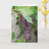 Paarse druiven op het Wenskaart wijn Kaart (Gele Bloem)