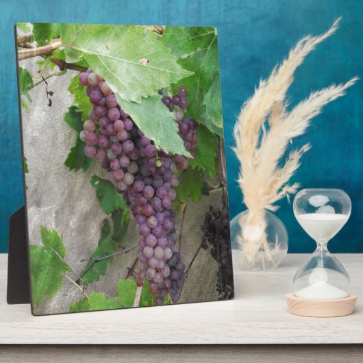 Paarse druiven op wijn fotoplaat (Zijkant)