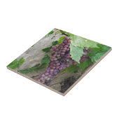 Paarse druiven op wijn tegeltje (Zijkant)