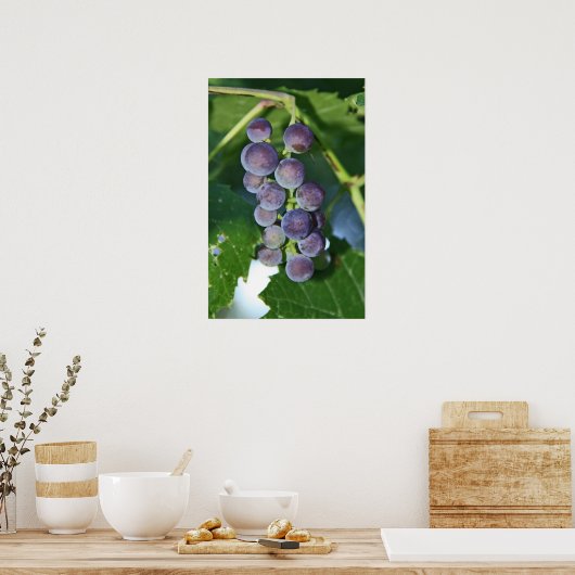Paarse druiven poster (Keuken)