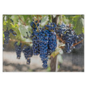 Paarse druiven, snijvlak snijplank (Voorkant)