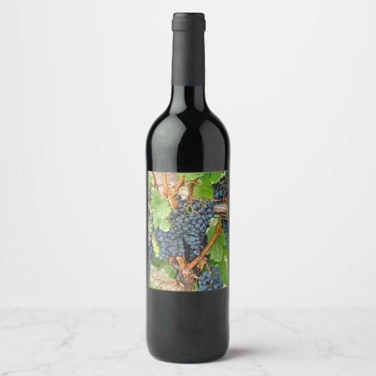 Paarse druiven wijn etiket (Voorkant)