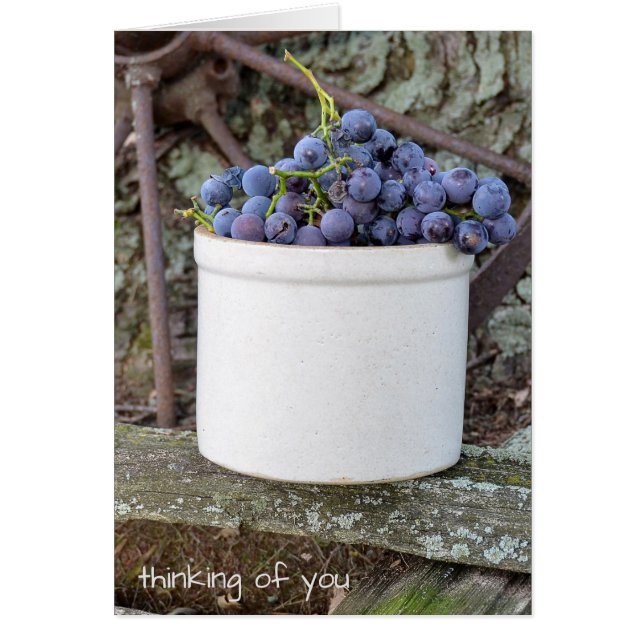 paarse druiventroop in oude krokodillen (Voorkant)