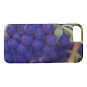 Paarse druiventrossen op wijn Case-Mate iPhone case (Achterkant (Horizontaal))