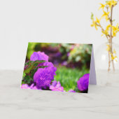 Paarse dubbele wax begonia's, blanco binnenkant kaart (Gele Bloem)