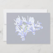 Paarse Dwerg Iris Hart Kaart (Achterkant)