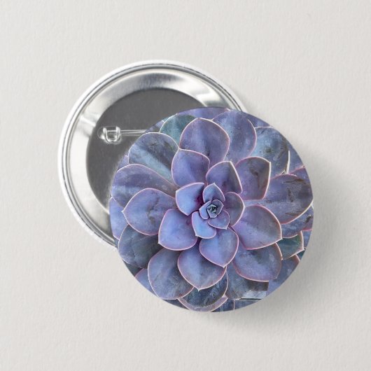 Paarse Echeveria Succulents Ronde Button 5,7 Cm (Voorkant /achterkant)