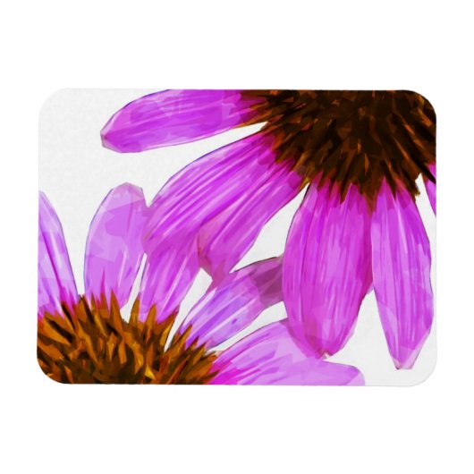 Paarse Echinacea Bloem Abstract Magneet (Horizontaal)