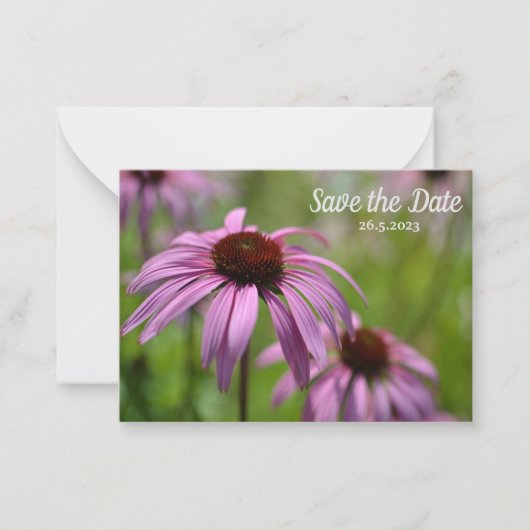 Paarse Echinacea Cone Flowers Save the Date Notitiekaartje (Voorkant)