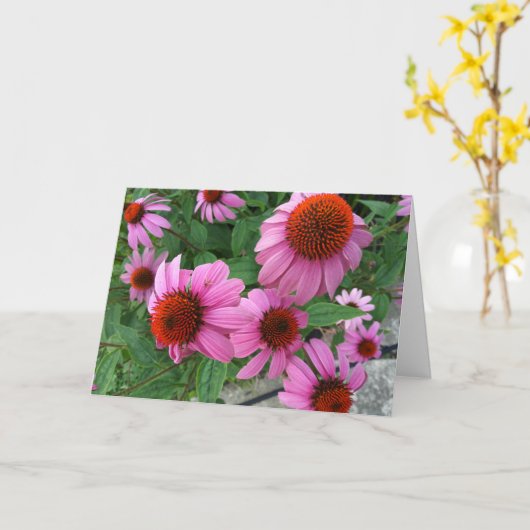 Paarse Echinacea ecclesiastes Bijbelvers Verjaarda Kaart (Gele Bloem)