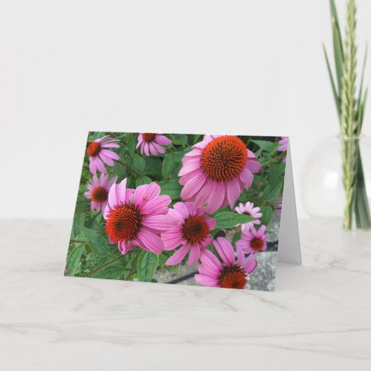 Paarse Echinacea ecclesiastes Bijbelvers Verjaarda Kaart (Voorkant)