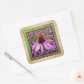 Paarse Echinacea-wildbloemsticker Vierkante Sticker (Envelop)