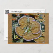 Paarse Edge Shelf Fungus Coördinatiepunten Briefkaart (Voorkant / Achterkant)