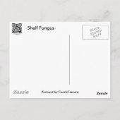 Paarse Edge Shelf Fungus Coördinatiepunten Briefkaart (Achterkant)