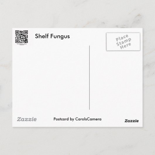 Paarse Edge Shelf Fungus Coördinatiepunten Briefkaart (Achterkant)