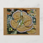 Paarse Edge Shelf Fungus Coördinatiepunten Briefkaart (Voorkant)