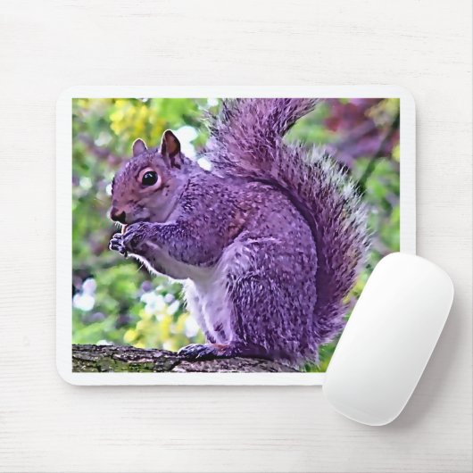 Paarse eekhoorn muismat (Met muis)