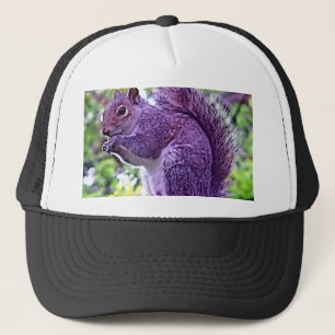 Paarse eekhoorn trucker pet