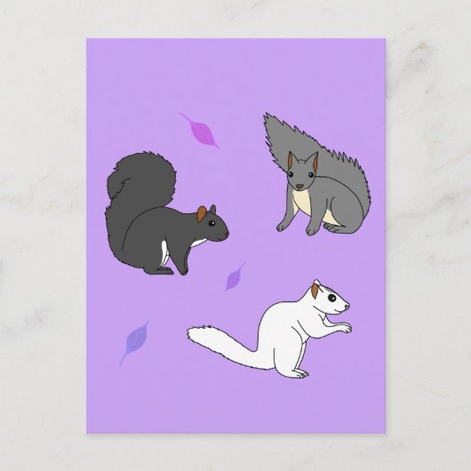 Paarse eekhoorns briefkaart (Voorkant)