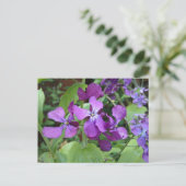 Paarse eerlijkheid ventilator briefkaart (Staand voorkant)