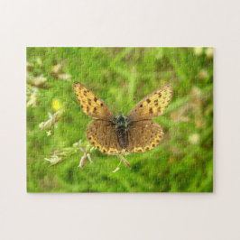 Paarse eGedekte koperen vlinder Foto Puzzle Legpuzzel