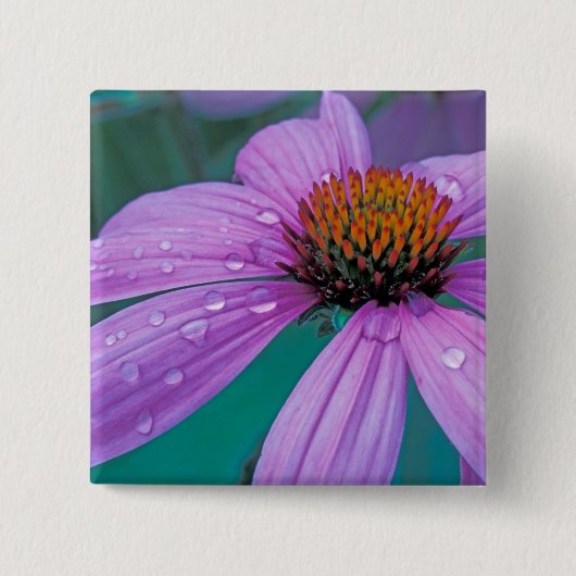 Paarse Egelbloem met waterdruppels Vierkante Button 5,1 Cm (Voorkant)
