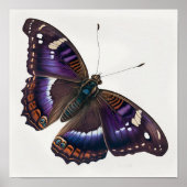 Paarse Emperor Butterfly Art Print Poster (Voorkant)
