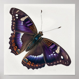 Paarse Emperor Butterfly Art Print Poster