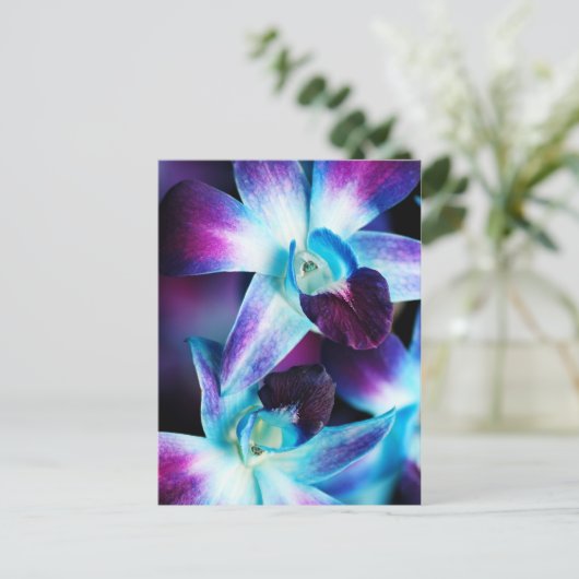 Paarse en blauwe dendrobiumorchidee-orchidee briefkaart (Staand voorkant)