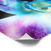 Paarse en blauwe dendrobiumorchidee-orchidee foto afdruk (Hoek)