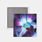 Paarse en blauwe dendrobiumorchidee-orchidee magneet (Voorkant / Achterkant)