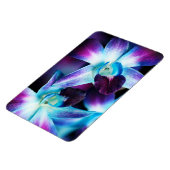 Paarse en blauwe dendrobiumorchidee-orchidee magneet (Linkerzijde)
