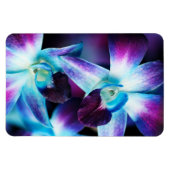 Paarse en blauwe dendrobiumorchidee-orchidee magneet (Horizontaal)
