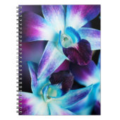Paarse en blauwe dendrobiumorchidee-orchidee notitieboek (Voorkant)