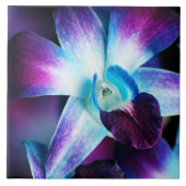 Paarse en blauwe dendrobiumorchidee-orchidee tegeltje (Voorkant)