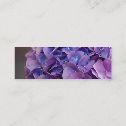 Paarse en blauwe hortensia van dichtbij mini visitekaartje (Voorkant)