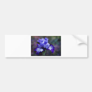 Paarse en blauwe tall-gele Iris bloesem Bumpersticker