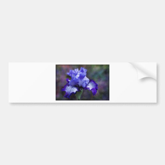 Paarse en blauwe tall-gele Iris bloesem Bumpersticker (Voorkant)