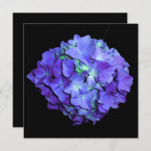 Paarse en blauwgroen hydrangea, paarse blauwe bloe kaart (Voorkant / Achterkant)