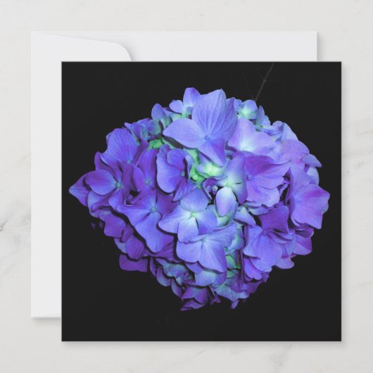 Paarse en blauwgroen hydrangea, paarse blauwe bloe kaart (Voorkant)