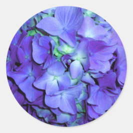 Paarse en blauwgroen hydrangea, paarse blauwe bloe ronde sticker
