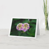 Paarse en geel Lantana Flowers Kaart (Voorkant)